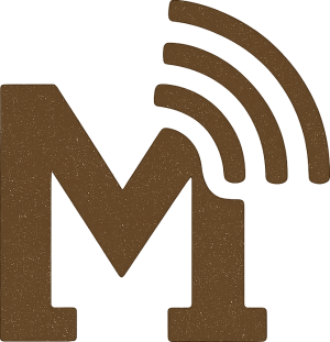 mediawavix.info